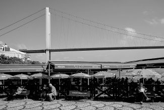 DZ4X8638