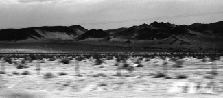 Mojave desert 1