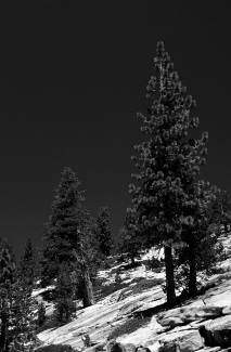 Yosemite Valley 7