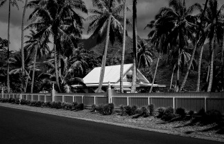 Maison parmi les palmiers 2