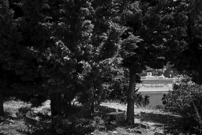 Une trouée dans les arbres