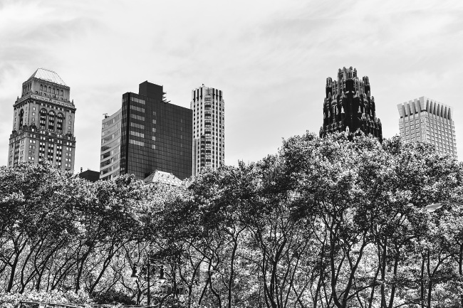 Béton & verdure