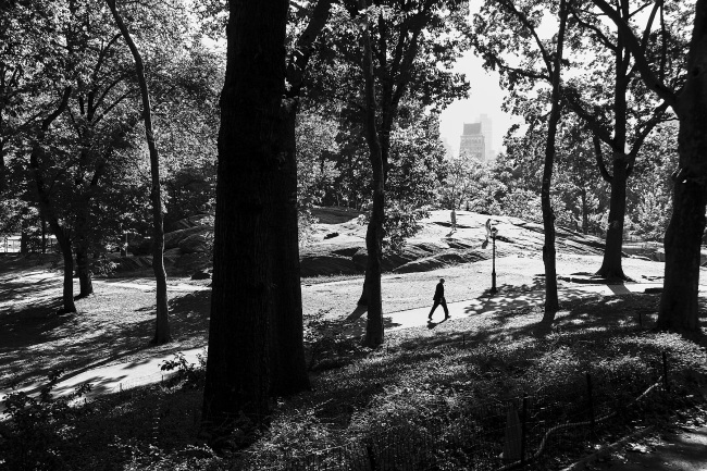 Central Park 1