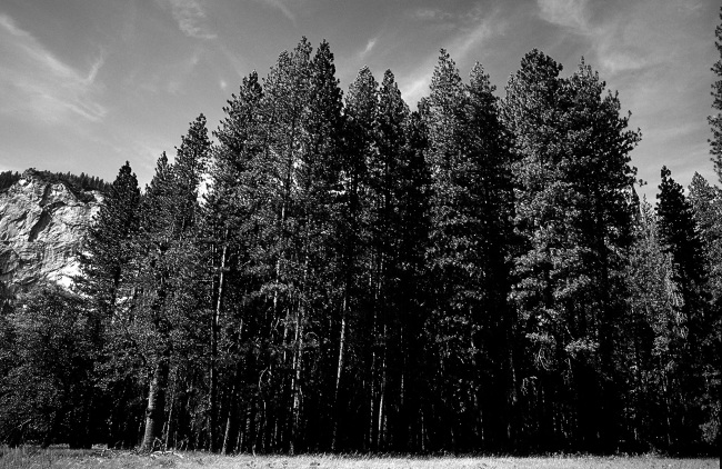 Yosemite Valley 3