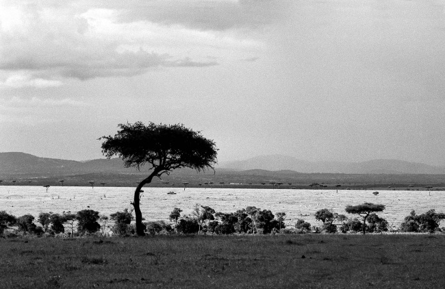 Lumière de la saison des pluies 2