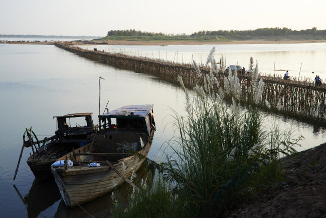 Bamboo bridge 1