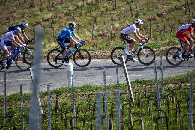 Coureurs au milieu du vignoble 1