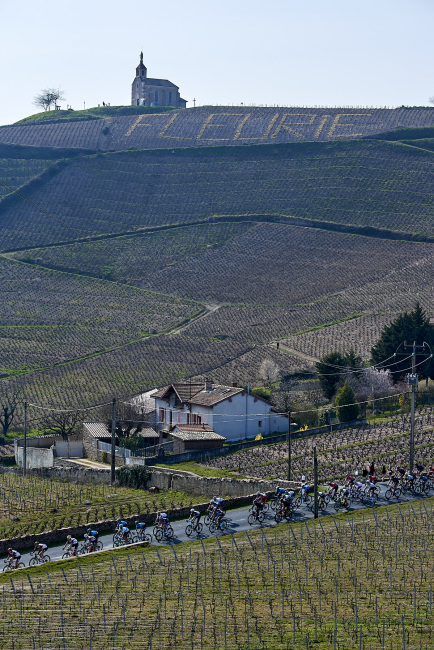 Coureurs au milieu du vignoble 3