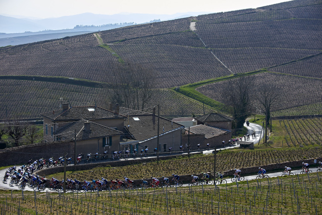 Coureurs au milieu du vignoble 2