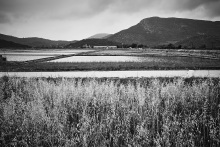 Marais salants de Ston 1