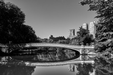 Central Park 3