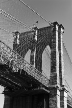 Brooklyn Bridge 2