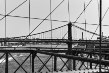 Brooklyn Bridge 15