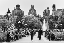 Washington Square 1