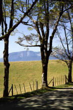 Sur la route du monastère