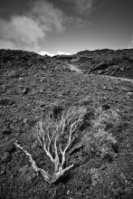 Terre volcanique