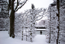 Musée Hébert en hiver, vue du parc 1