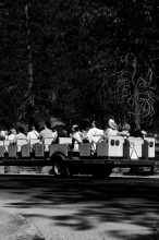 Yosemite Valley 6