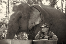 L'éléphant et son soigneur