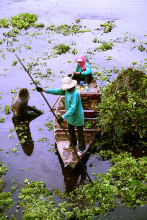 Entretien des bassins 