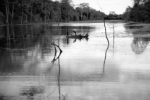 Embarqués sur les douves d'Angkor Thom