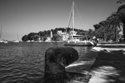 Queue de baleine dans la marina de Cavtat