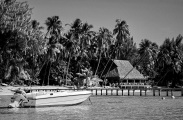 Dans l'anse du lagon 1