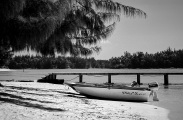 Dans l'anse du lagon 2