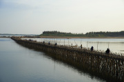 Bamboo bridge 2