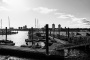 River Bank State