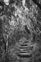 Sentier des 3 Salazes