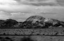 Mojave desert 8