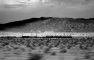 Mojave desert 10